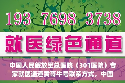 中国人民解放军总医院（301医院）专家就医通道黄哥牛号联系方式，中国人民解放军总医院专家就医通道黄哥牛号联系方式揭秘，权威医疗资源的便捷通道探索
