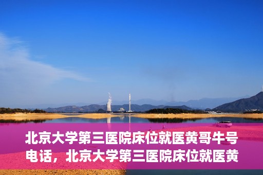 北京大学第三医院床位就医黄哥牛号电话，北京大学第三医院床位就医黄哥牛号联系方式解析