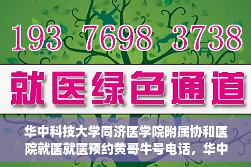 华中科技大学同济医学院附属协和医院就医就医预约黄哥牛号电话，华中科技大学同济医学院附属协和医院预约挂号指南，黄哥牛号电话就医新体验