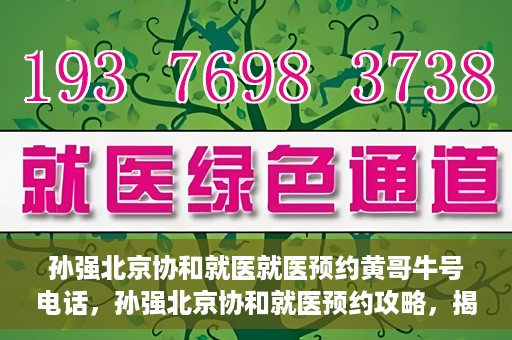 孙强北京协和就医就医预约黄哥牛号电话，孙强北京协和就医预约攻略，揭秘黄哥牛号预约电话