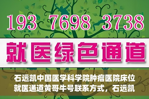石远凯中国医学科学院肿瘤医院床位就医通道黄哥牛号联系方式，石远凯教授，中国医学科学院肿瘤医院床位就医指南与联系方式揭秘