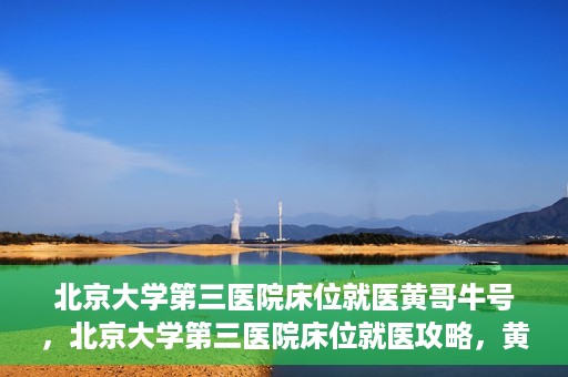 北京大学第三医院床位就医黄哥牛号，北京大学第三医院床位就医攻略，黄哥牛号助您轻松挂号就医