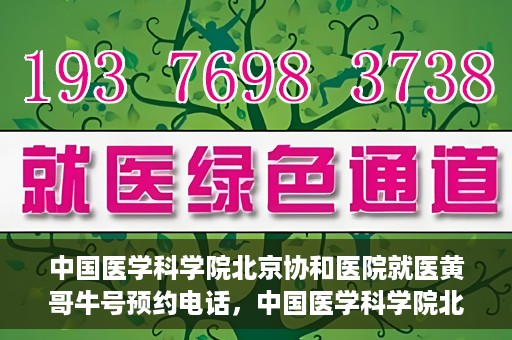 中国医学科学院北京协和医院就医黄哥牛号预约电话，中国医学科学院北京协和医院就医黄哥牛号预约电话详解及指南