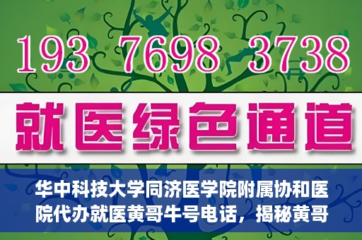 华中科技大学同济医学院附属协和医院代办就医黄哥牛号电话，揭秘黄哥牛号电话背后的华中科技大学同济医学院附属协和医院代办就医服务内幕
