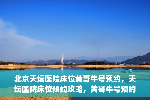 北京天坛医院床位黄哥牛号预约，天坛医院床位预约攻略，黄哥牛号预约秘籍揭秘