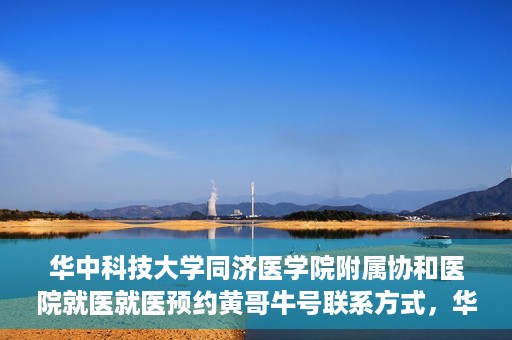 华中科技大学同济医学院附属协和医院就医就医预约黄哥牛号联系方式，华中科技大学同济医学院附属协和医院就医预约指南，黄哥牛号联系方式全解析