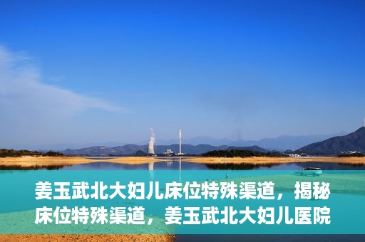 姜玉武北大妇儿床位特殊渠道，揭秘床位特殊渠道，姜玉武北大妇儿医院背后的故事