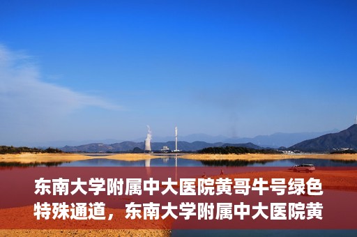 东南大学附属中大医院黄哥牛号绿色特殊通道，东南大学附属中大医院黄哥牛号，绿色特殊通道开启生命之门