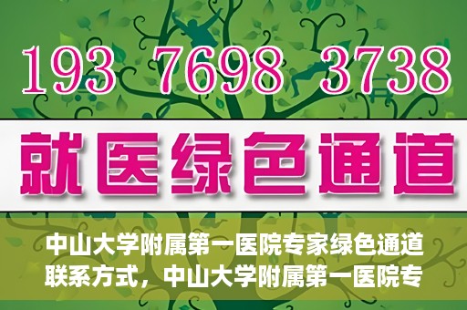 中山大学附属第一医院专家绿色通道联系方式，中山大学附属第一医院专家绿色通道联系指南，一站式解决您的健康需求