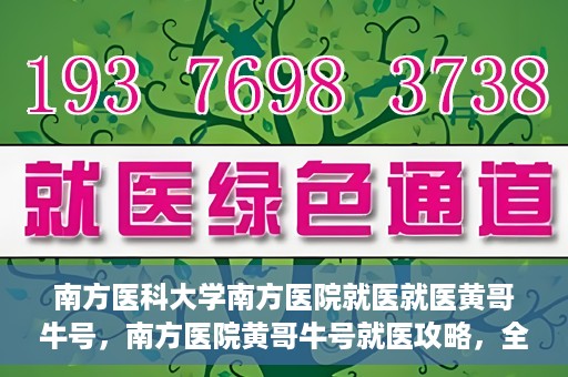 南方医科大学南方医院就医就医黄哥牛号，南方医院黄哥牛号就医攻略，全方位解析就医流程与体验