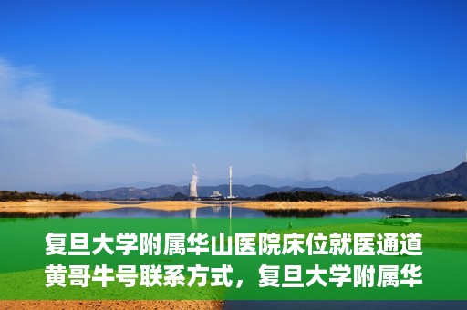 复旦大学附属华山医院床位就医通道黄哥牛号联系方式，复旦大学附属华山医院床位就医通道，黄哥牛号联系方式全解析