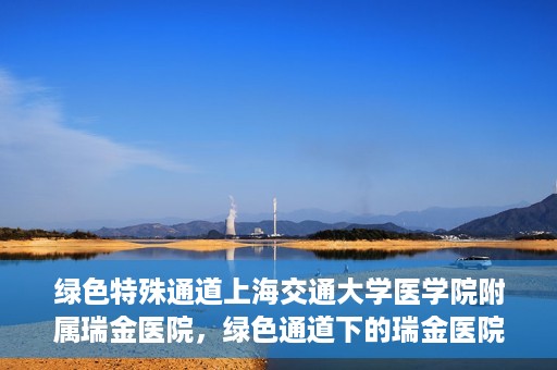 绿色特殊通道上海交通大学医学院附属瑞金医院，绿色通道下的瑞金医院，探索医疗创新的绿色路径