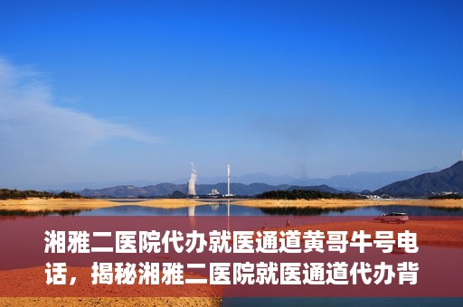 湘雅二医院代办就医通道黄哥牛号电话，揭秘湘雅二医院就医通道代办背后的神秘人物——黄哥牛号电话曝光