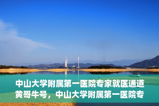 中山大学附属第一医院专家就医通道黄哥牛号，中山大学附属第一医院专家就医通道，黄哥牛号助您轻松挂号就医