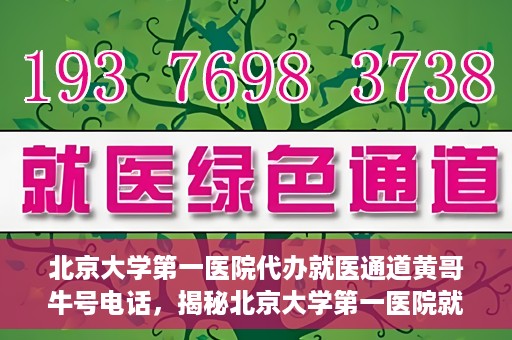 北京大学第一医院代办就医通道黄哥牛号电话，揭秘北京大学第一医院就医通道代办人黄哥牛号背后的故事与真相