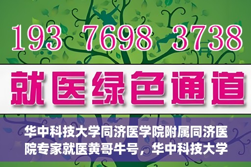 华中科技大学同济医学院附属同济医院专家就医黄哥牛号，华中科技大学同济医院专家解析黄哥牛号背后的医疗奥秘
