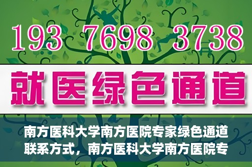 南方医科大学南方医院专家绿色通道联系方式，南方医科大学南方医院专家绿色通道联系指南，一站式解决您的健康咨询需求