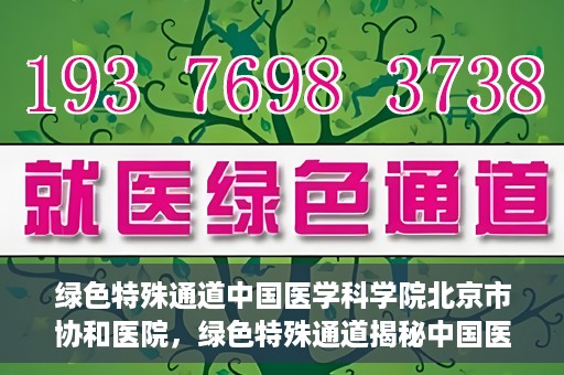 绿色特殊通道中国医学科学院北京市协和医院，绿色特殊通道揭秘中国医学科学院北京市协和医院的力量与担当