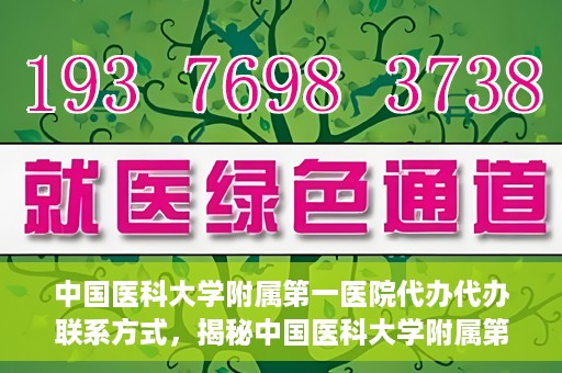 中国医科大学附属第一医院代办代办联系方式，揭秘中国医科大学附属第一医院代办联系方式，权威医疗服务的便捷通道