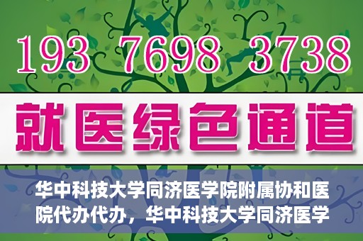 华中科技大学同济医学院附属协和医院代办代办，华中科技大学同济医学院附属协和医院代办事务解析