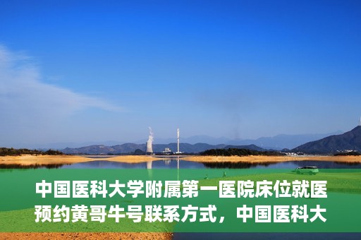 中国医科大学附属第一医院床位就医预约黄哥牛号联系方式，中国医科大学附属第一医院床位预约联系方式揭秘，黄哥牛号就医指南