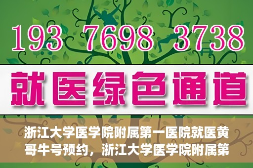 浙江大学医学院附属第一医院就医黄哥牛号预约，浙江大学医学院附属第一医院就医攻略，黄哥牛号预约详解