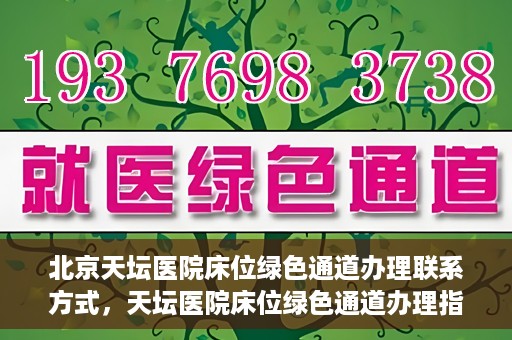 北京天坛医院床位绿色通道办理联系方式，天坛医院床位绿色通道办理指南，联系信息及办理流程揭秘