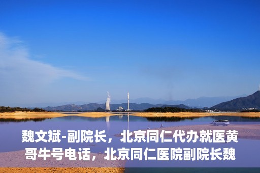魏文斌-副院长，北京同仁代办就医黄哥牛号电话，北京同仁医院副院长魏文斌，就医黄哥牛号电话背后的故事与探索