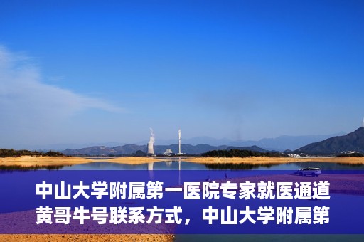 中山大学附属第一医院专家就医通道黄哥牛号联系方式，中山大学附属第一医院专家就医通道，黄哥牛号联系方式全解析