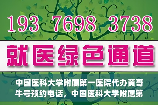 中国医科大学附属第一医院代办黄哥牛号预约电话，中国医科大学附属第一医院预约挂号代办服务，黄哥牛号预约电话详解