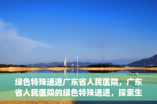 绿色特殊通道广东省人民医院，广东省人民医院的绿色特殊通道，探索生命的新路径
