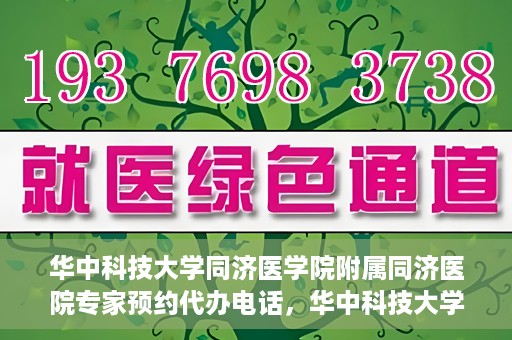 华中科技大学同济医学院附属同济医院专家预约代办电话，华中科技大学同济医学院附属同济医院专家预约代办服务热线