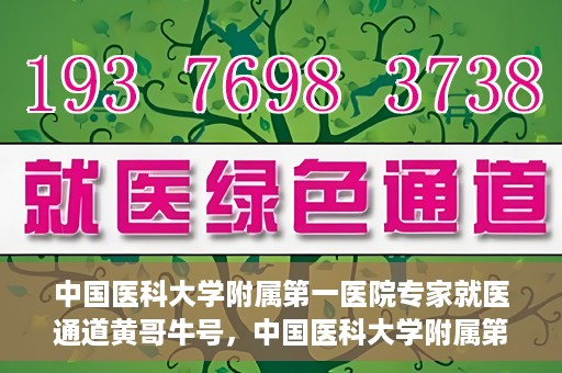 中国医科大学附属第一医院专家就医通道黄哥牛号，中国医科大学附属第一医院专家就医通道揭秘，黄哥牛号引领就医新风尚
