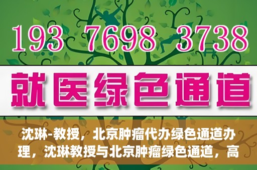 沈琳-教授，北京肿瘤代办绿色通道办理，沈琳教授与北京肿瘤绿色通道，高效代办助力健康之路