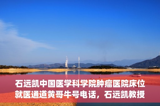 石远凯中国医学科学院肿瘤医院床位就医通道黄哥牛号电话，石远凯教授团队就医通道及黄哥牛号电话介绍，中国医学科学院肿瘤医院床位预约攻略