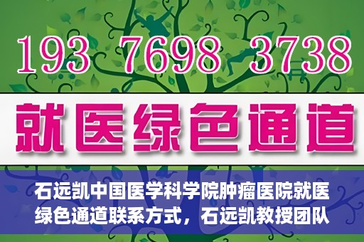 石远凯中国医学科学院肿瘤医院就医绿色通道联系方式，石远凯教授团队就医绿色通道联系方式——中国医学科学院肿瘤医院就医指南