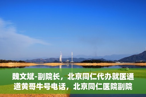 魏文斌-副院长，北京同仁代办就医通道黄哥牛号电话，北京同仁医院副院长魏文斌与就医通道黄哥牛号电话揭秘