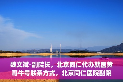 魏文斌-副院长，北京同仁代办就医黄哥牛号联系方式，北京同仁医院副院长魏文斌与就医黄哥，牛号联系方式背后的故事