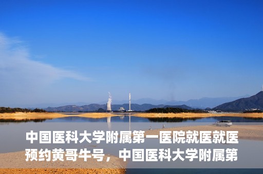 中国医科大学附属第一医院就医就医预约黄哥牛号，中国医科大学附属第一医院就医预约黄哥牛号，一站式便捷医疗体验新选择