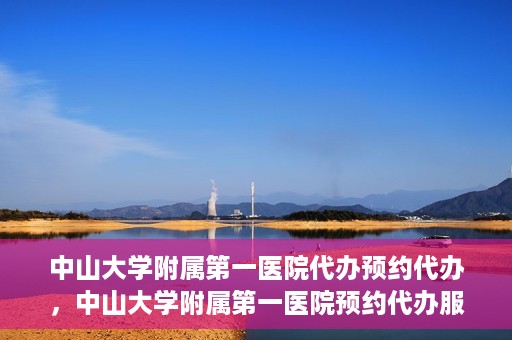 中山大学附属第一医院代办预约代办，中山大学附属第一医院预约代办服务详解