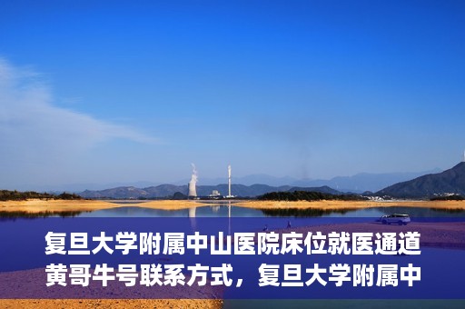 复旦大学附属中山医院床位就医通道黄哥牛号联系方式，复旦大学附属中山医院床位就医通道，黄哥牛号联系方式全解析