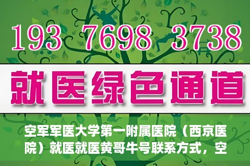 空军军医大学第一附属医院（西京医院）就医就医黄哥牛号联系方式，空军军医大学第一附属医院（西京医院）就医指南及黄哥牛号联系方式揭秘