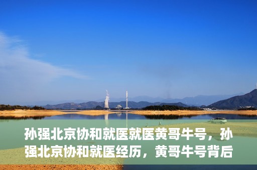 孙强北京协和就医就医黄哥牛号，孙强北京协和就医经历，黄哥牛号背后的故事