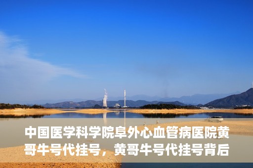 中国医学科学院阜外心血管病医院黄哥牛号代挂号，黄哥牛号代挂号背后的故事，阜外心血管病医院的探索与挑战