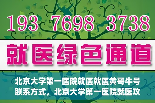 北京大学第一医院就医就医黄哥牛号联系方式，北京大学第一医院就医攻略，黄哥牛号联系方式全解析