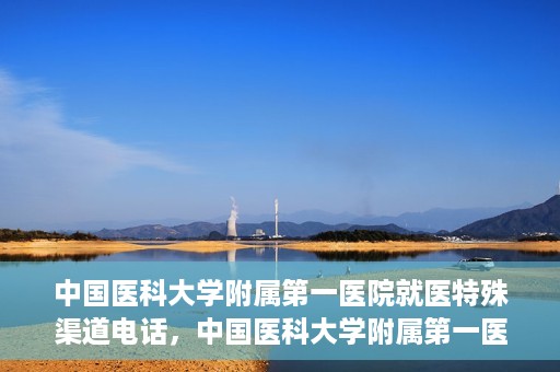 中国医科大学附属第一医院就医特殊渠道电话，中国医科大学附属第一医院特殊就医渠道联系电话详解