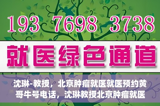 沈琳-教授，北京肿瘤就医就医预约黄哥牛号电话，沈琳教授北京肿瘤就医预约热线揭秘，黄哥牛号电话助您轻松挂号就医