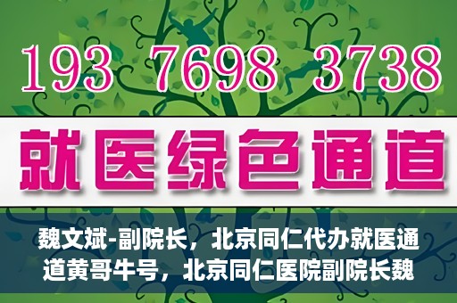 魏文斌-副院长，北京同仁代办就医通道黄哥牛号，北京同仁医院副院长魏文斌揭秘就医通道，黄哥牛号助力患者便捷就医体验