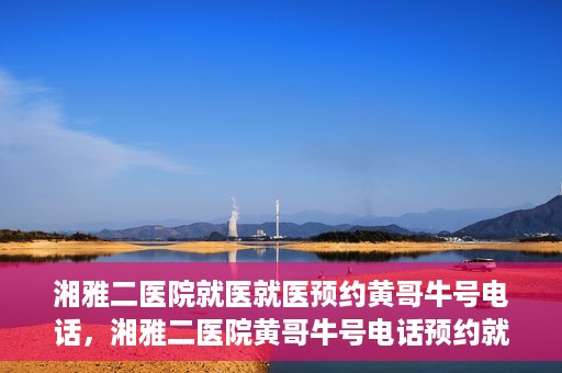 湘雅二医院就医就医预约黄哥牛号电话，湘雅二医院黄哥牛号电话预约就医攻略，轻松挂号，便捷就医体验