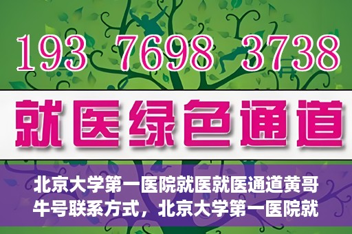 北京大学第一医院就医就医通道黄哥牛号联系方式，北京大学第一医院就医通道详解，黄哥牛号联系方式揭秘